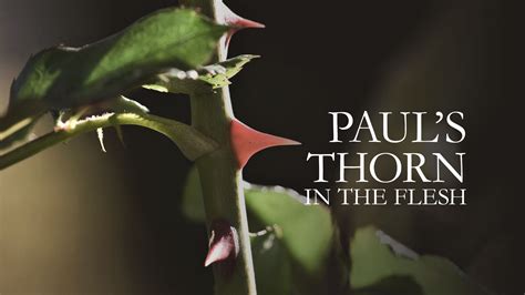 Contact information for sptbrgndr.de - Paul's Thorn in the Flesh, 2 Corinthians 12:1-10, Union Press, Notes: https://rodneyjonessundayschool.sellfy.store/p/paul-s-thorn-in-the-flesh/Thanks for wat...